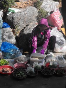 Locals selling fresh vegetables on the mountain