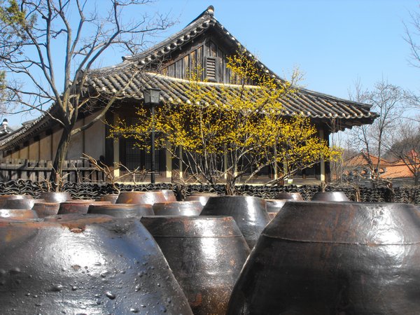 Traditional Korean Pots