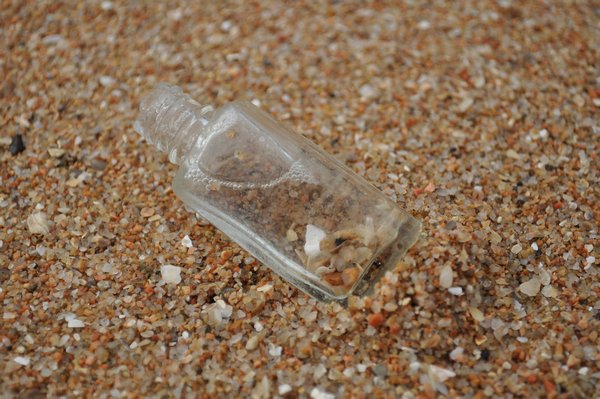Small shells in the bottle