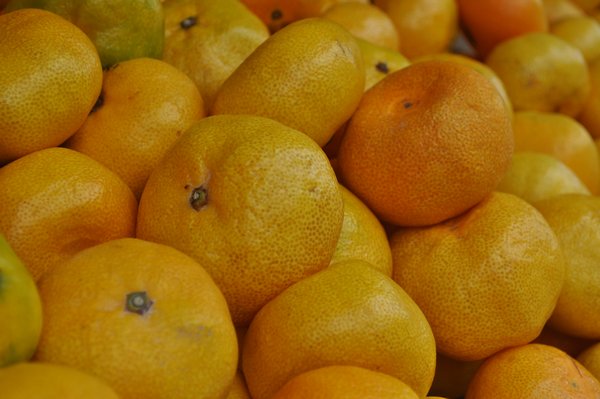 Delicious Jeju Oranges