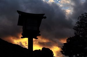 Dusk in Arashiyama