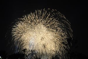 Fireworks From Yeouido Island