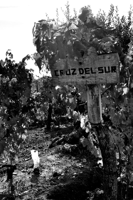 Vineyard Sign