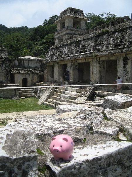 Piggy at the ruins