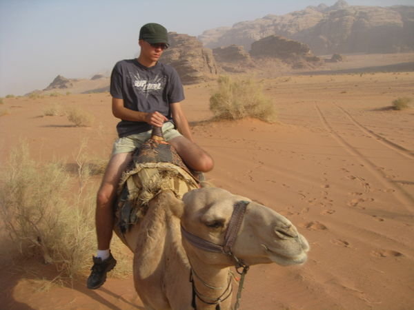 Camel jockey