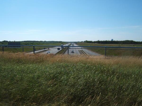 grass highway on Amager