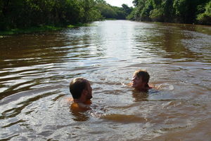 Swimming with piranhas, crocs and pink dolphins