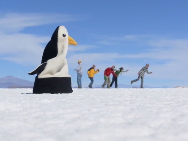 Arrggggh - a giant penguin
