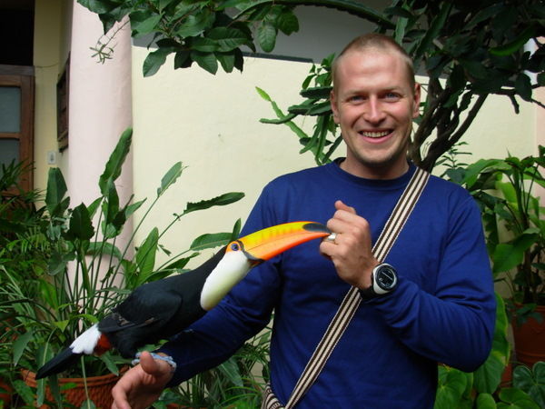 James and the cheeky tucan