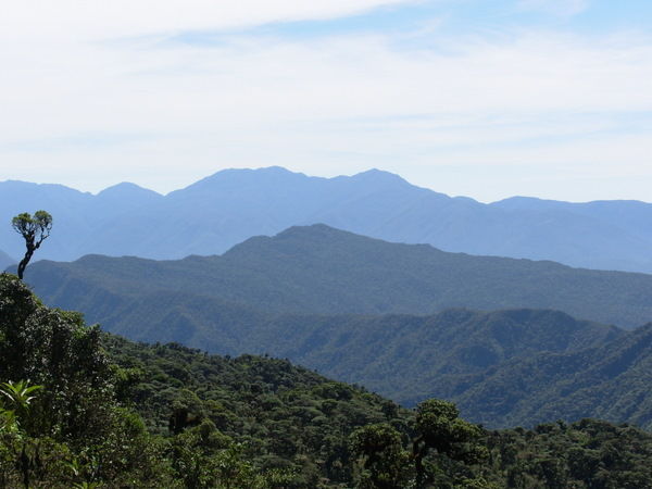 The national park in between Santa Cruz and Cochabamba