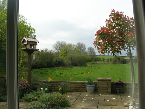 view from back garden 