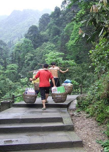 Porters carrying supplies up the mountain.