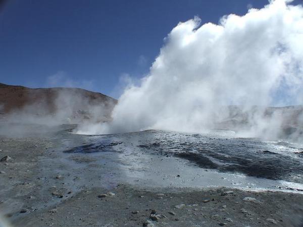 Steam billowing out of the geysers.