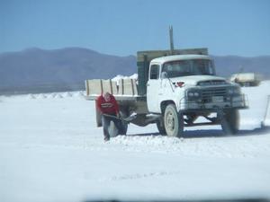 Shovelling salt onto a truck.