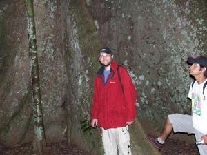 Brendan and Juan Carlos standing amongst the roots of an 'iron tree' that is 200 feet high.