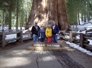 Sequoia National Park -  General Sherman