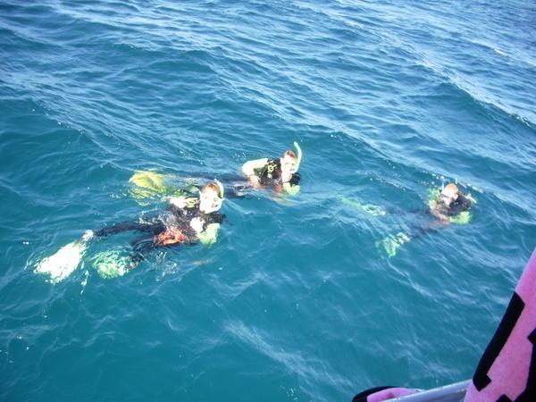 divers....before the whale shark!