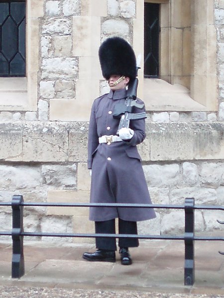 Guard at the Tower  of London