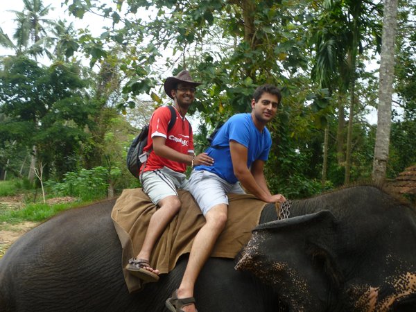 On an elephant
