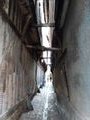 la ruelle des chats