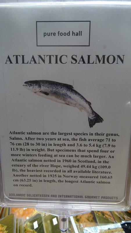 un saumon extra