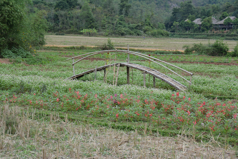 29 Petit pont de Mai Chau