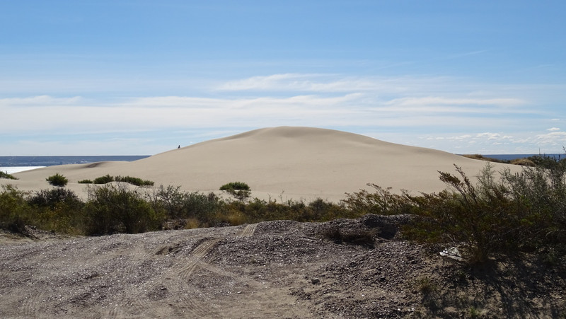 toujours la dune