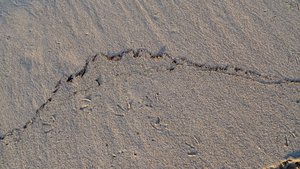 caligraphie de plage