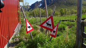à mon avis, le sami a enlevé les panneaux sur les routes