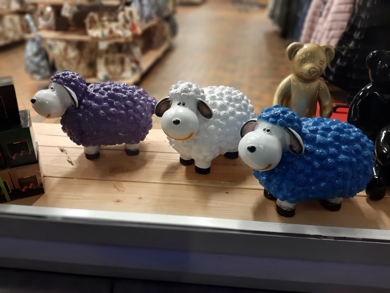 quand les moutons regardent passer les derniers touristes... 