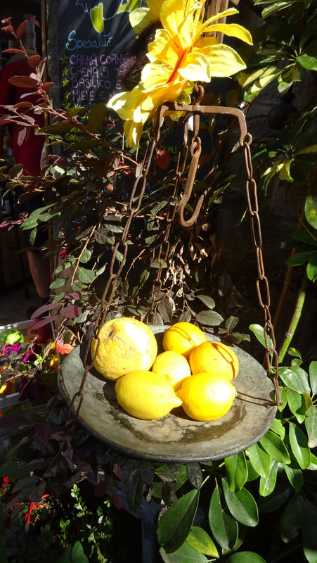 les citrons de Corniglia