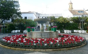 la Plaza de las Flores