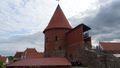 le chateau de Kaunas