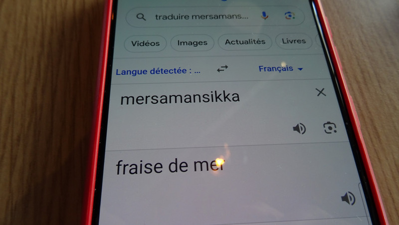 Bravo Google... et votre traducteur...