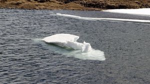 petit iceberg