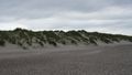 Les dunes