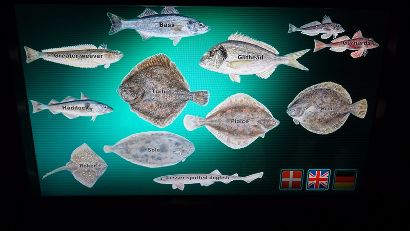 Les poissons de la mer du Nord