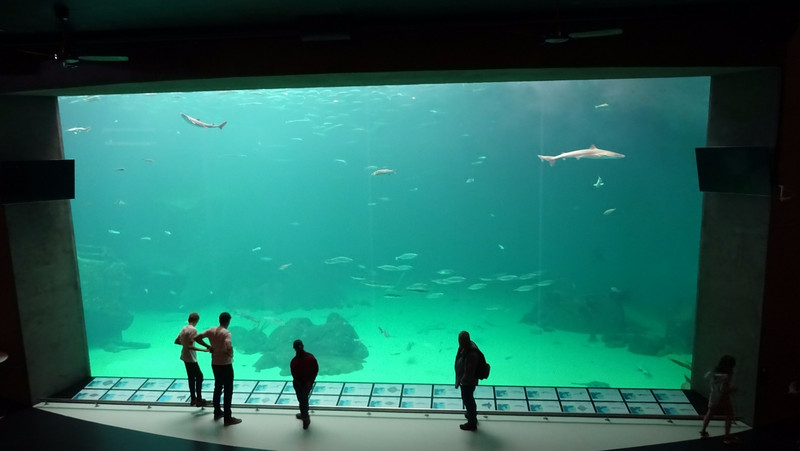 magnifique aquarium Nordsoen Aquarium à Hirtshals