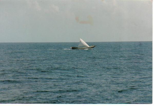 A fisher boat