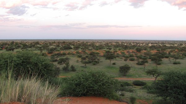 View over Kalahari