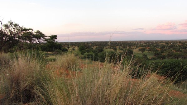 Kalahari, sun is setting