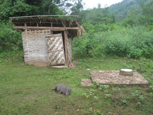 Village Outhouse, Luang Nam Tha National Park