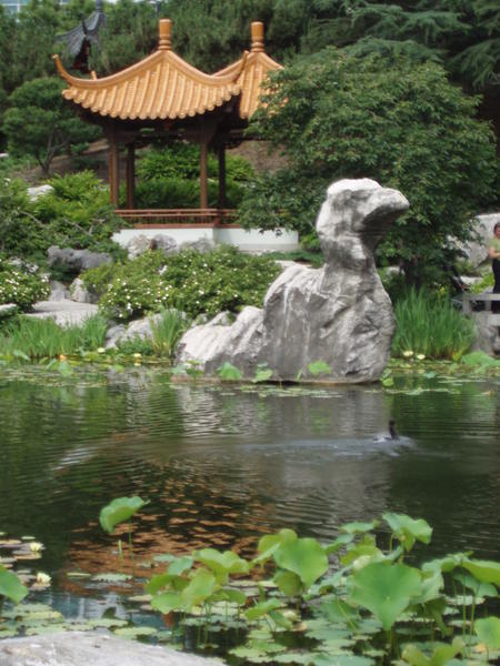 Chinese Gardens of Friendship1