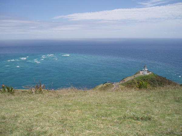 Cape Reinga