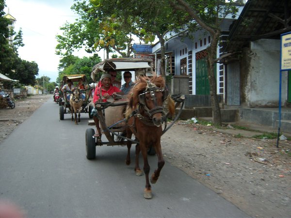 Horse and carts