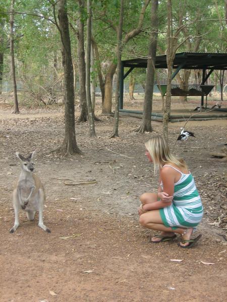 Meeting the locals 