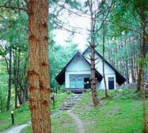 Cabin in the park at doi Inthanon, Chiangmai 