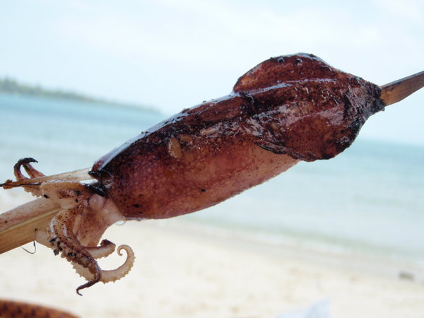 Squid-on-a-Stick