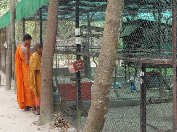 Monks Who Like Animals