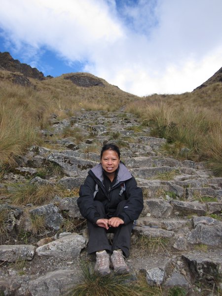 Typical steps on the trek